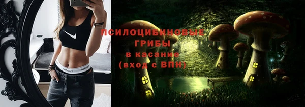 героин Алексин