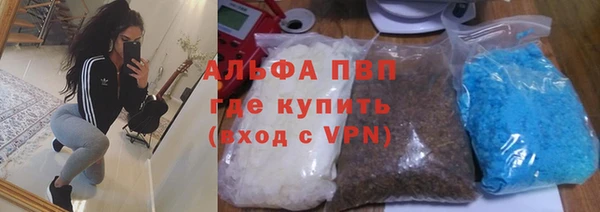 apvp Алзамай