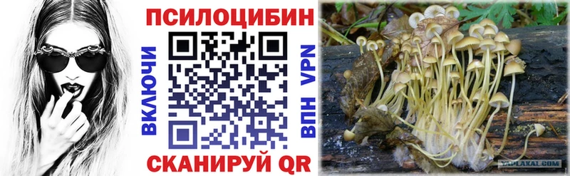 Псилоцибиновые грибы GOLDEN TEACHER  Кувшиново 